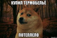 купил термобельё потеплело