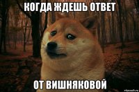 когда ждешь ответ от вишняковой