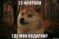 23 февраля где мои подарки?