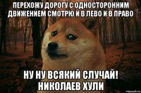 перехожу дорогу с односторонним движением смотрю и в лево и в право ну ну всякий случай! николаев хули