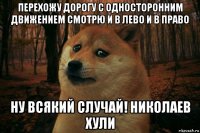 перехожу дорогу с односторонним движением смотрю и в лево и в право ну всякий случай! николаев хули