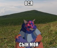 ося сын мой