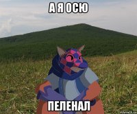 а я осю пеленал