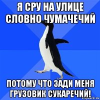 я сру на улице словно чумачечий потому что зади меня грузовик сукаречий!