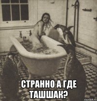  странно а где ташшак?