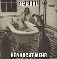 течение не уносит меня