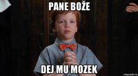 pane bože dej mu mozek