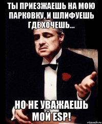 ты приезжаешь на мою парковку, и шлифуешь где хочешь... но не уважаешь мой esp!