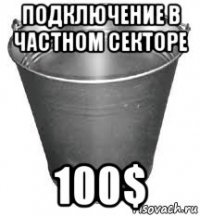 подключение в частном секторе 100$