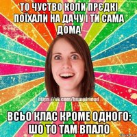 то чуство коли прєдкі поїхали на дачу і ти сама дома всьо клас кроме одного: шо то там впало