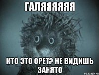 галяяяяяя кто это орет? не видишь занято