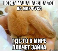 когда маша нарывается на марфуса где-то в мире плачет зайка