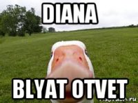 diana blyat otvet