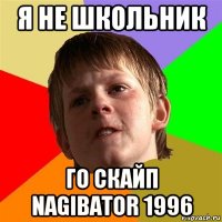 я не школьник го скайп nagibator 1996