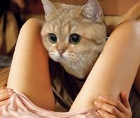 Создать мем Это не тунец