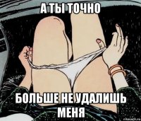 а ты точно больше не удалишь меня