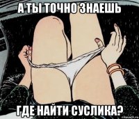 а ты точно знаешь где найти суслика?