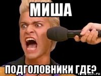 миша подголовники где?