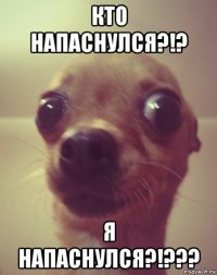 кто напаснулся?!? я напаснулся?!???