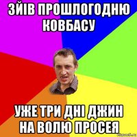 зйів прошлогодню ковбасу уже три дні джин на волю просея