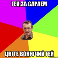 гей,за сараем цвiте вонючий гей