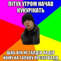 пітух утром начав кукурікать щоб він не галдів надів йому на голову презерватів