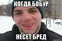 когда бобур несёт бред