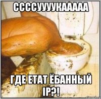 ссссуууукааааа где етат ёбанный ip?!