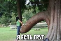  я есть грут