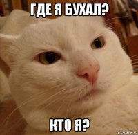 где я бухал? кто я?