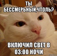 ты бессмерьный,чтоль? включил свет в 03:00 ночи