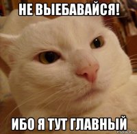 не выебавайся! ибо я тут главный