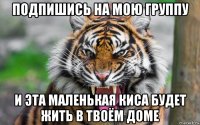 подпишись на мою группу и эта маленькая киса будет жить в твоём доме