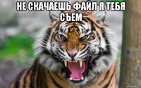 не скачаешь файл я тебя съем 