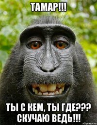 тамар!!! ты с кем, ты где??? скучаю ведь!!!