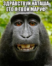 здравствуй,наташа ето я твой маруф 