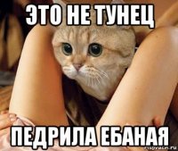 это не тунец педрила ебаная