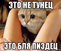 это не тунец это бля пиздец