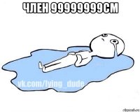 член 99999999см 