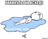 каникулы на исходе =(