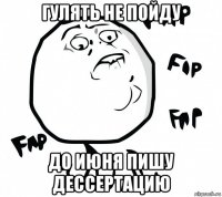 гулять не пойду до июня пишу дессертацию