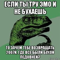 если ты тру эмо и не бухаешь то зачем тебе возвращать 2007й, где все были бухой педовней?