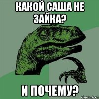 какой саша не зайка? и почему?