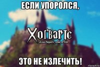 если упоролся, это не излечить!