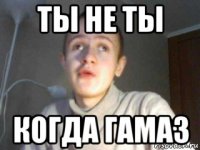 ты не ты когда гамаз