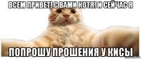 всем привет! с вами котя! и сейчас я попрошу прошения у кисы