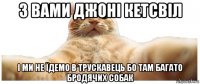 з вами джоні кетсвіл і ми не їдемо в трускавець бо там багато бродячих собак