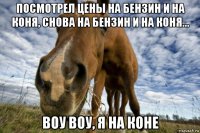 посмотрел цены на бензин и на коня, снова на бензин и на коня... воу воу, я на коне