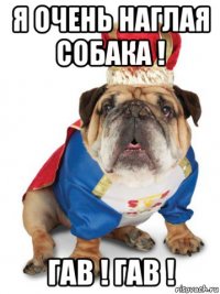 я очень наглая собака ! гав ! гав !