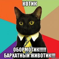 котик обормотик!!!!! бархатный животик!!!